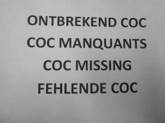 Suzuki Ignis  picture 25