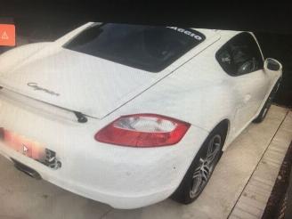 Porsche Cayman  2010/1