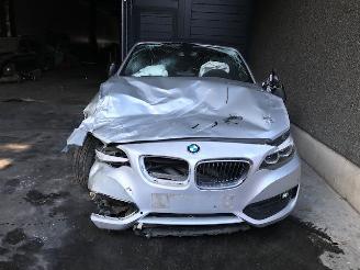 BMW 2-serie (F23) Cabrio 2017 218i 1.5 TwinPower Turbo 12V Cabrio  Benzine 1.499cc 100kW (136pk) RWD picture 4