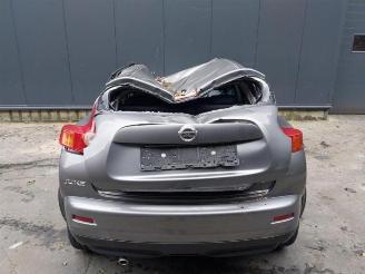 Nissan Juke Juke (F15), SUV, 2010 / 2019 1.6 16V picture 10