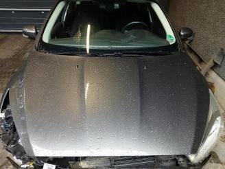 Ford Focus Focus 3, Hatchback, 2010 / 2020 1.0 Ti-VCT EcoBoost 12V 125 picture 12