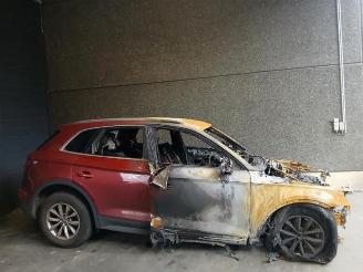 Audi Q5 Q5 (FYB/FYG), SUV, 2016 2.0 35 TDI Mild hybrid 16V picture 11