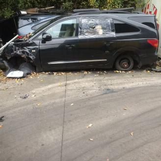 Ssang yong Rodius  picture 1