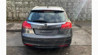 Opel Insignia Insignia Sports Tourer, Combi, 2008 / 2017 2.0 CDTI 16V 160 Ecotec picture 5