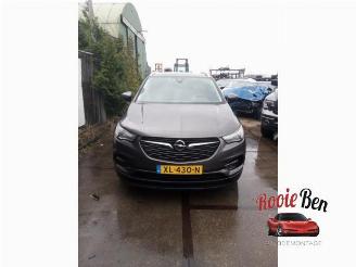 Opel Grandland Grandland (X), SUV, 2017 1.2 Turbo 12V picture 1