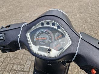 GTS  DJJD CASHMERE picture 5