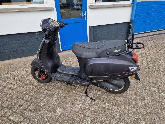 GTS  DJJD CASHMERE picture 8