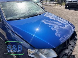 Volkswagen Passat Passat (3C2), Sedan, 2005 / 2010 2.0 TFSI 16V picture 19