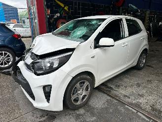 Kia Picanto  picture 1